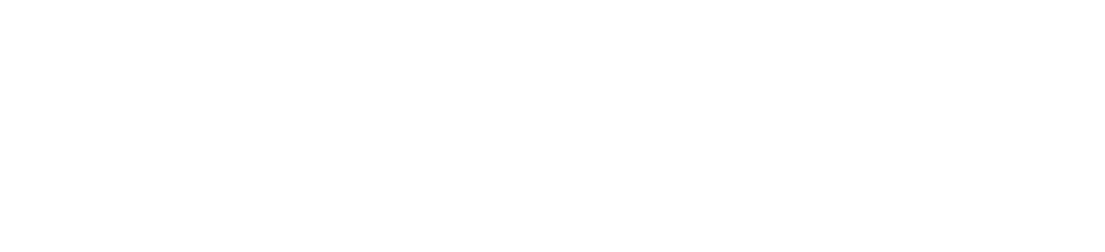 EiraNor logo white