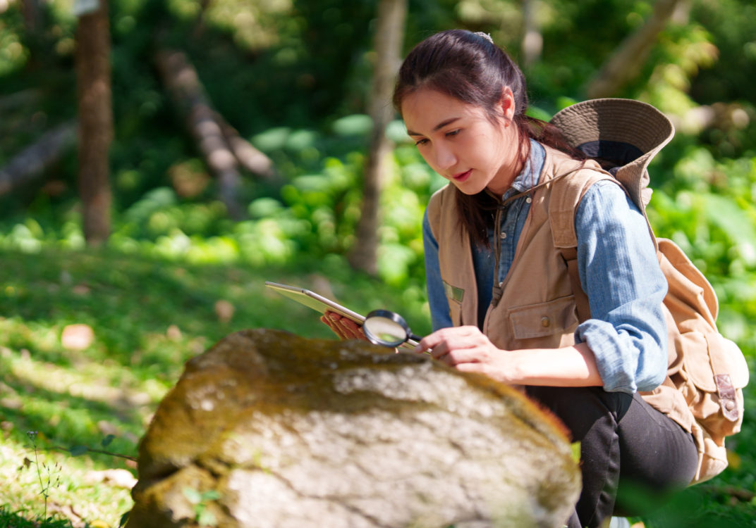 Asian adult woman botanist conducts field research She explores natural environments examines plants using a magnifying glass and tablet for scientific discovery